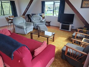 Televisor, videojocs, reproductor de DVD i videoteca 