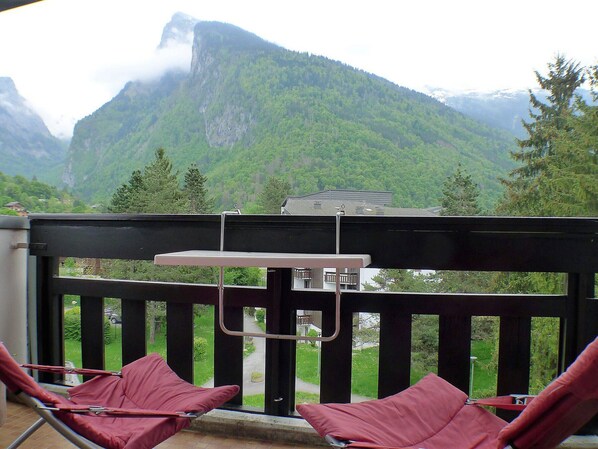Property grounds - Comfortable & bright 2-room in Samoëns center - Pets allowed and parking included (Samoëns)
