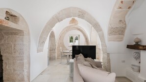Een ruime kamer met een moderne bank, een flatscreen televisie en een stenen muur.
