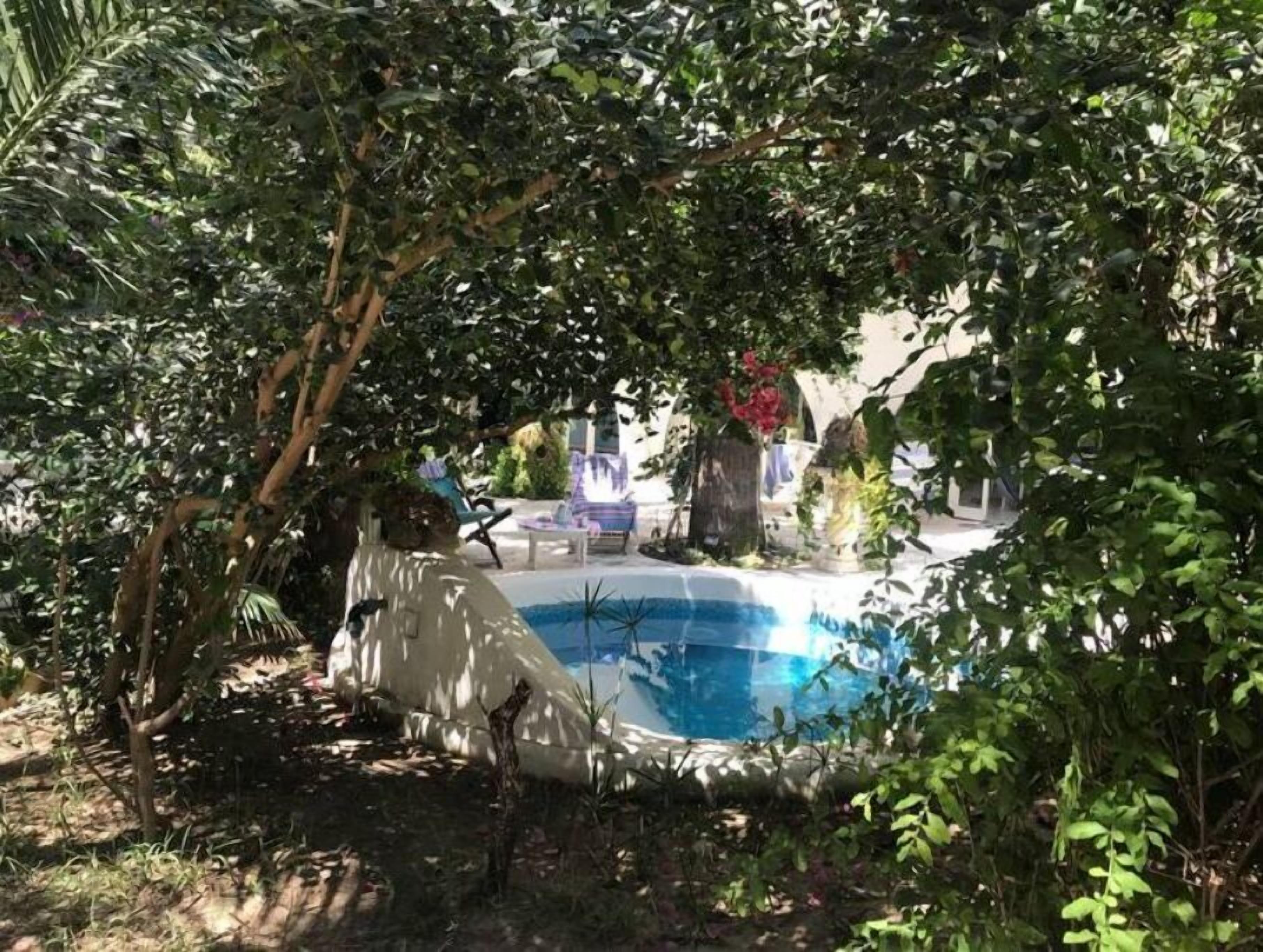 حمّام سباحة خارجي