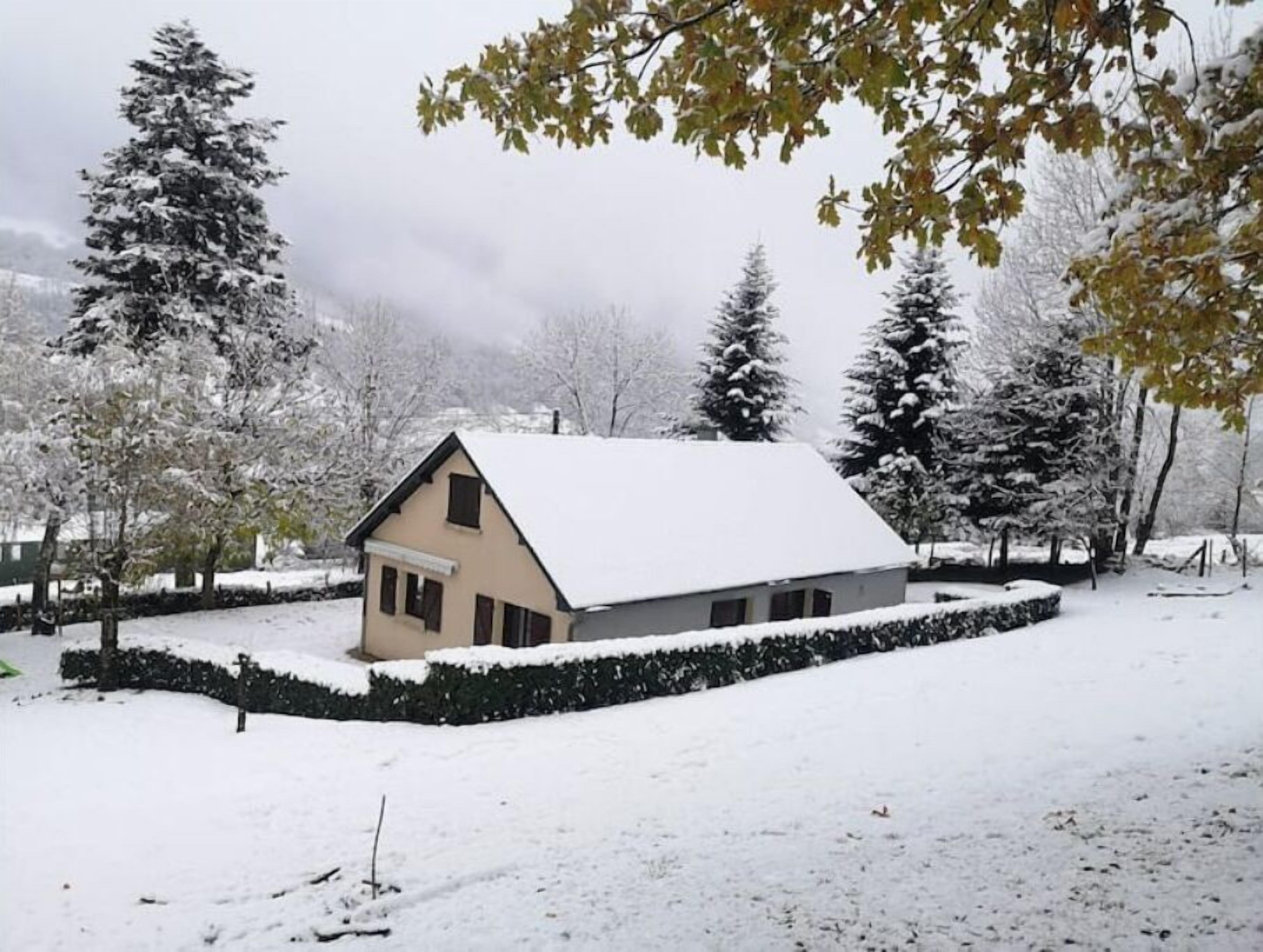 A snow-covered house with a sloped roof, surrounded by snow-laden trees and a hedge.
