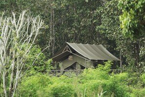 1 多间卧室、办公桌