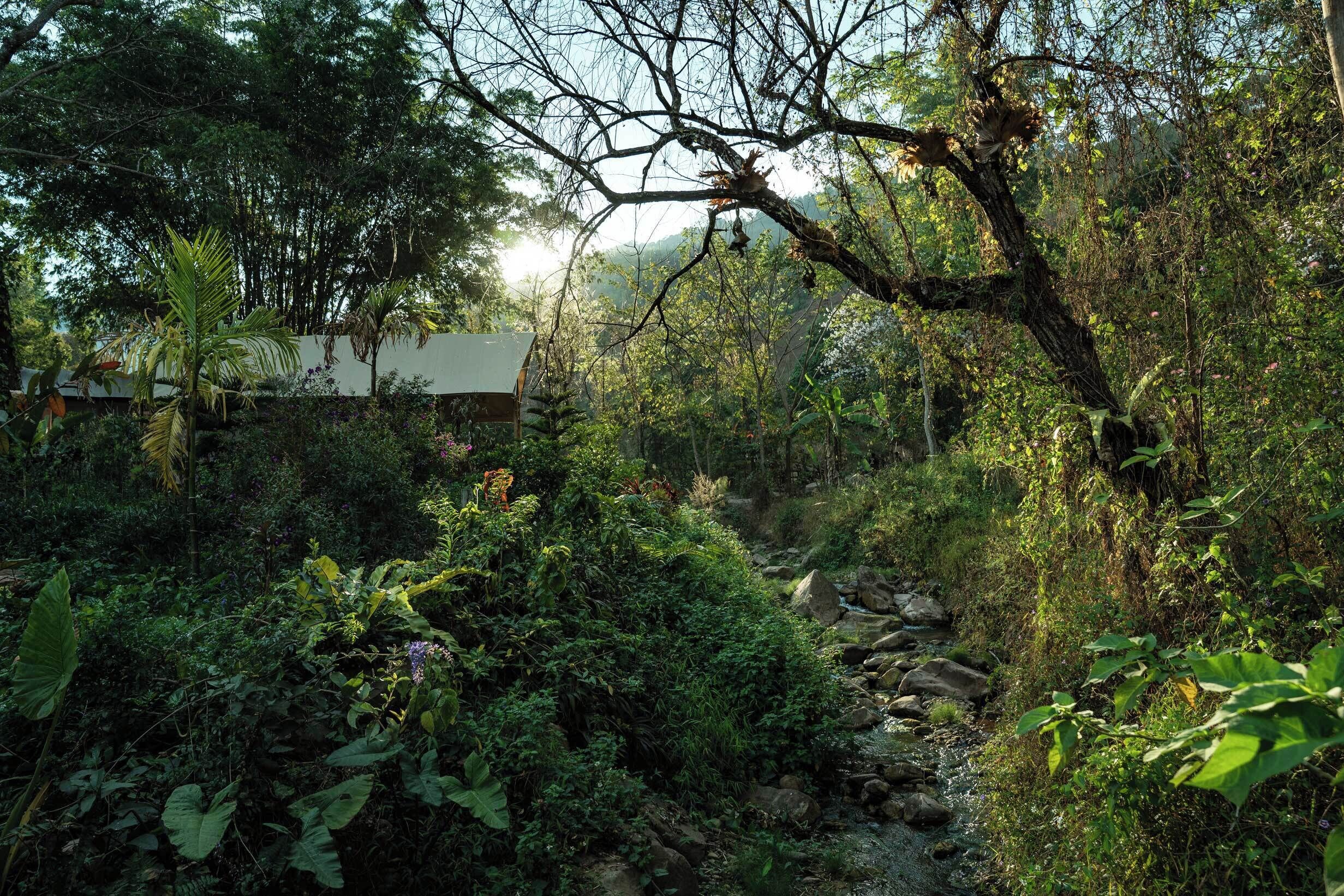 Entorno natural con abundante vegetación, un pequeño arroyo y una estructura parcialmente oculta por los árboles.