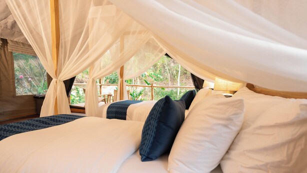 Una cama con almohadas blancas y azul oscuro, un dosel y vistas a la vegetación exterior.