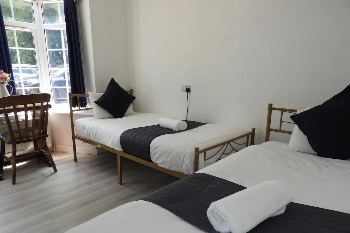 Deluxe Twin Room | Iron/ironing board, free WiFi