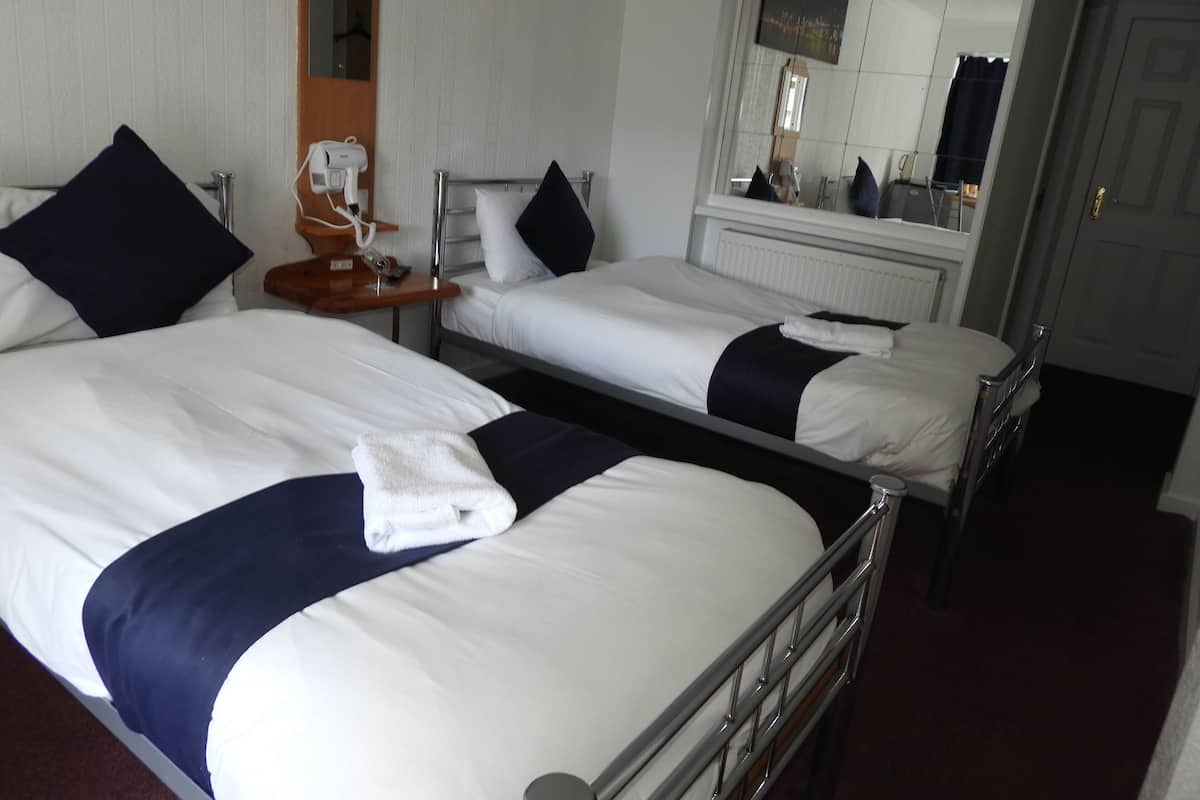 Standard Twin Room | Iron/ironing board, free WiFi