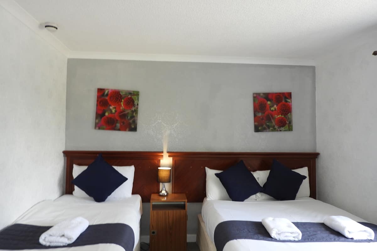 Deluxe Triple Room | Iron/ironing board, free WiFi