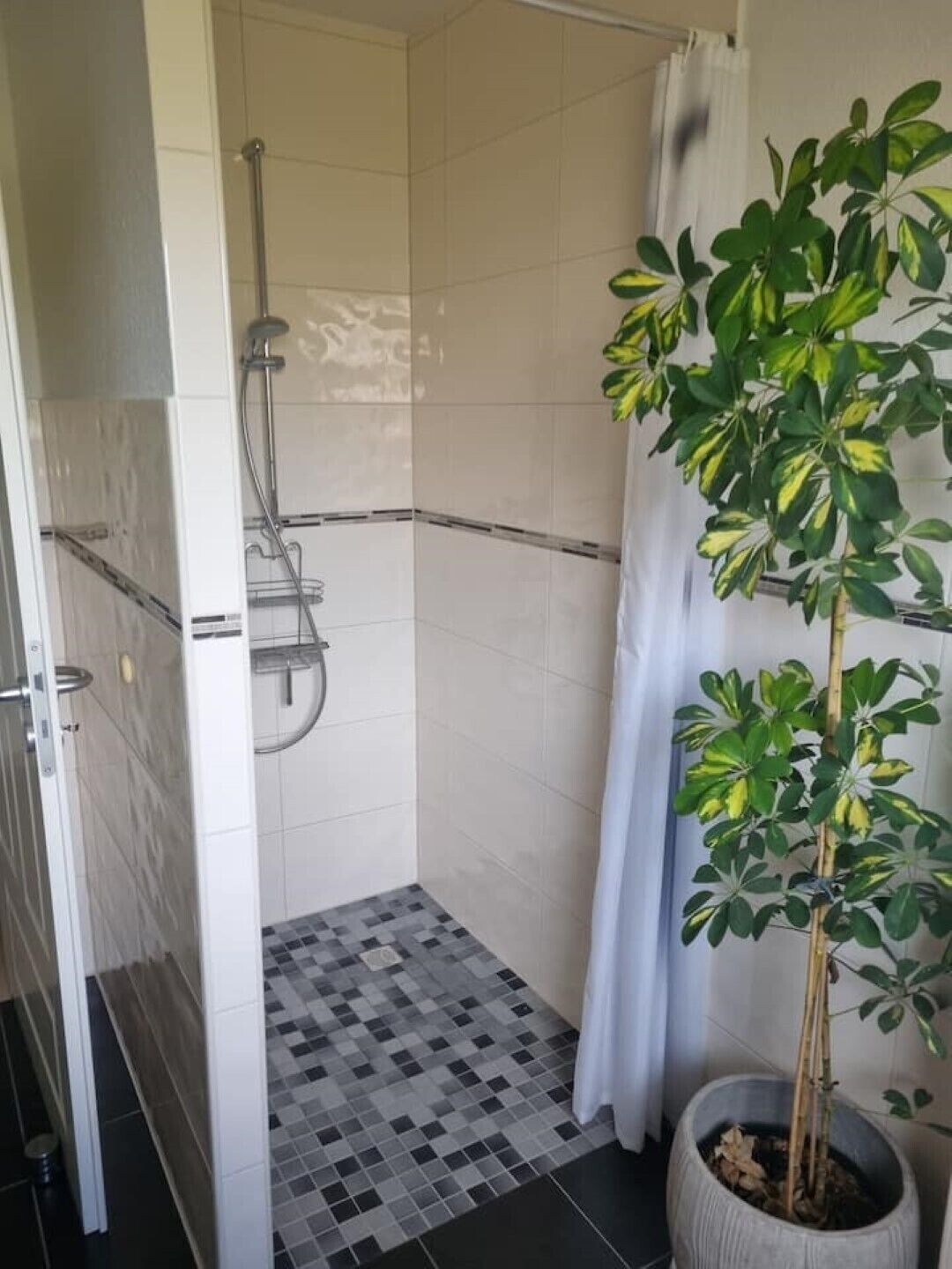 Hair dryer, towels, toilet paper
