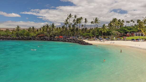 A beach with turquoise water, palm trees, and a sandy shore. - Mauna Lani Condo | Short Walk to Beach (Kamuela)