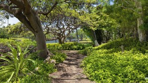 A pathway through a lush garden with dense foliage and trees. - Mauna Lani Condo | Short Walk to Beach (Kamuela)