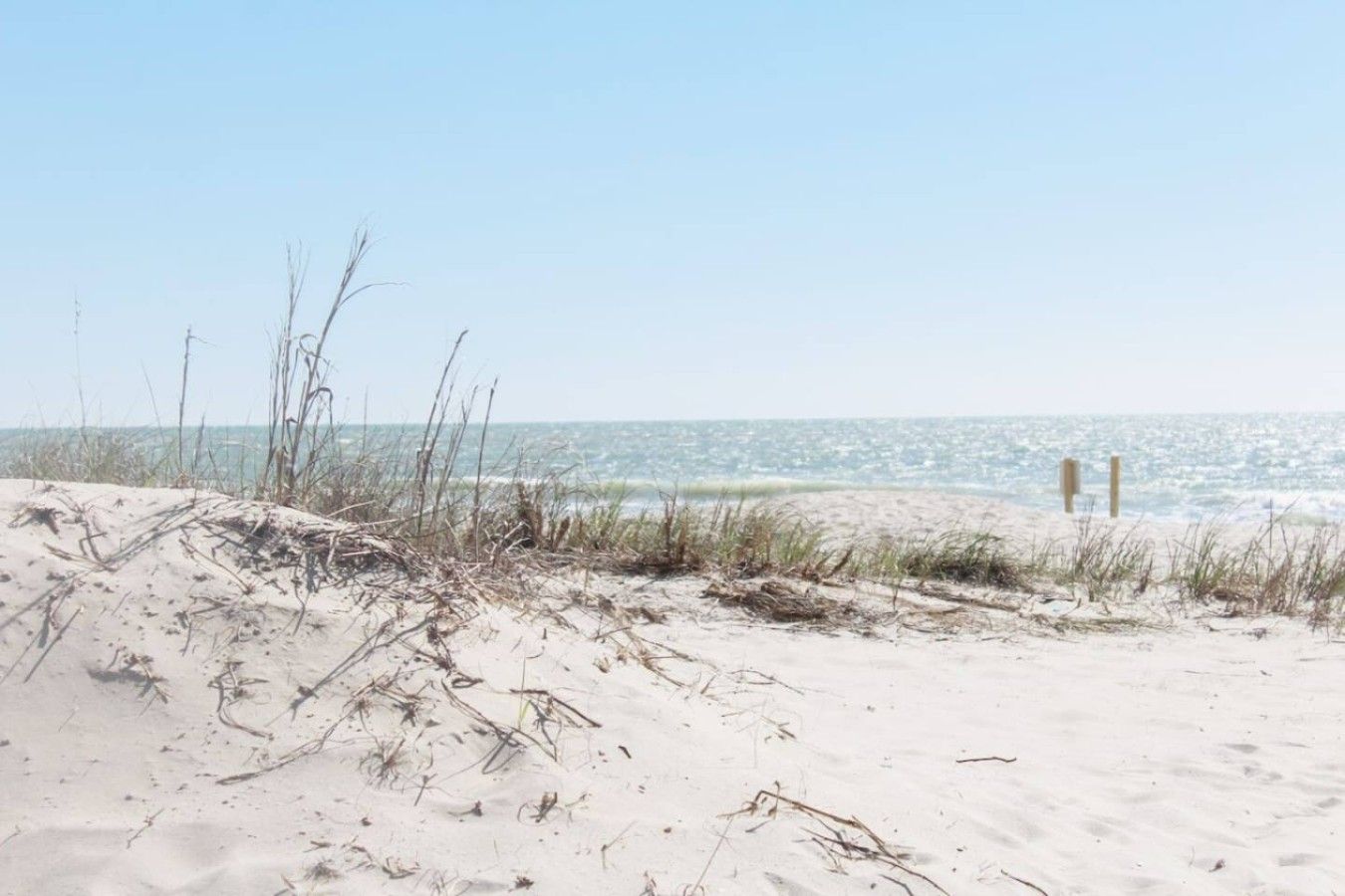 A beach with sand dunes and a clear view of the ocean.