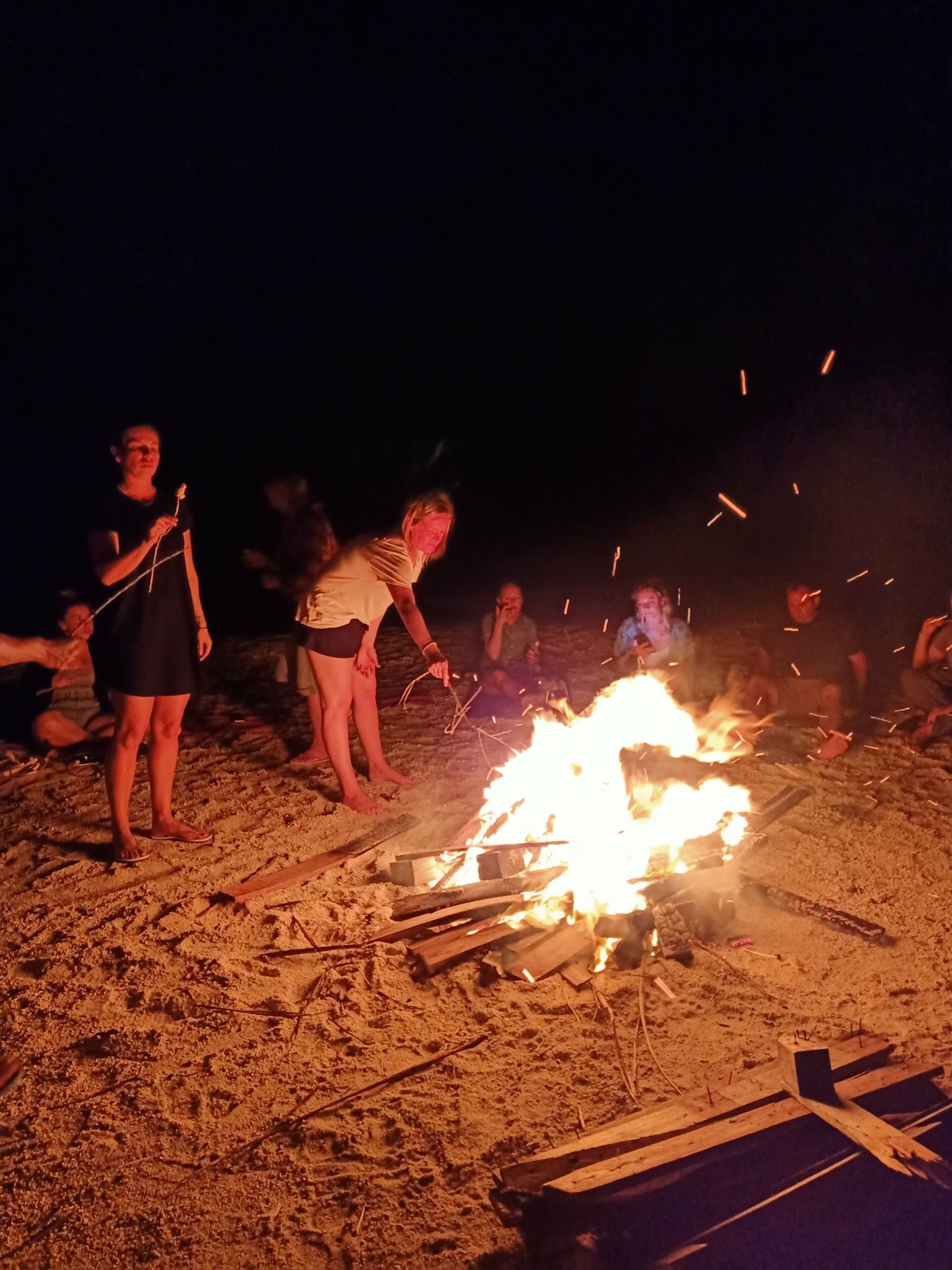 A group of people gathered around a campfire on a sandy beach at night.
