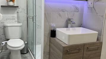 Shower, hair dryer, bidet, towels