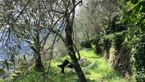 A natural outdoor setting with a hammock tied between trees, a grassy area, and a rocky cliff. - Gemütliches Haus mit Blick zum Meer (Glori)