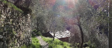 住宿场地