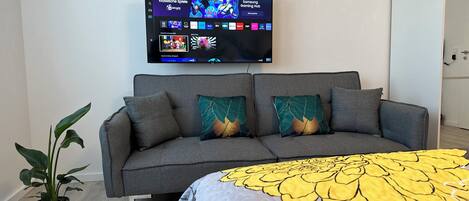 A modern living room with a grey sofa, two decorative pillows, a large flat-screen TV mounted on the wall, and a potted plant.