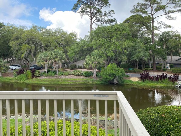 A residential area with a pond, a wooden deck, and houses in the background. - 2 Turtle Lane at The Sea Pines Resort (Hilton Head Island)