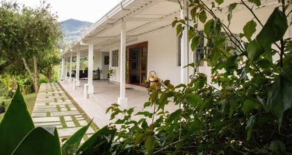 Remodelled Cosy House in the Country Side Stunning Mountain View - Close to City