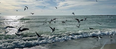Aan het strand