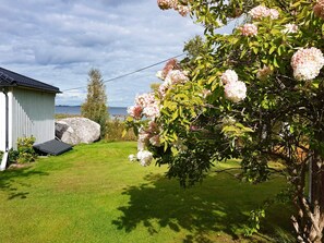 Un patio cubierto de césped con un edificio blanco, una roca grande y un árbol con flores rosadas.