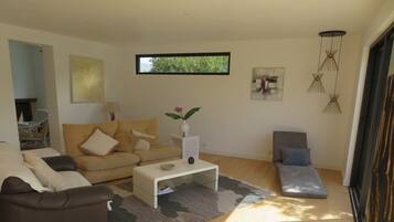 Télévision, cheminée, lecteur de DVD, livres