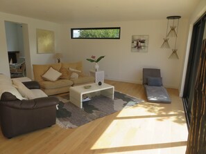 Télévision, cheminée, lecteur de DVD, livres