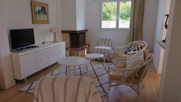 Televisie, een open haard, een dvd-speler en boeken