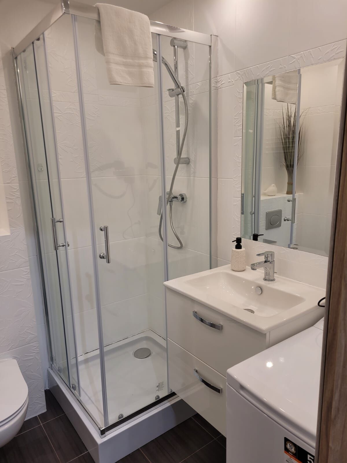 A modern bathroom with a glass-enclosed shower, a white sink, and a mirror.