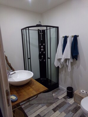 Secador de cabelo, toalhas de banho, papel higiênico 