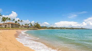 Condo, 1 Bedroom | Beach | On the beach