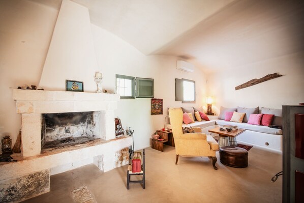 Smart TV, fireplace, books
