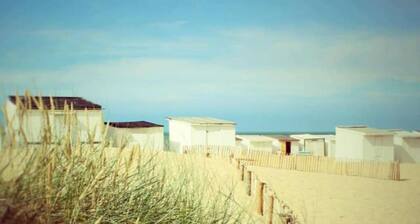 Commerces Alentours et Proche Eurotunnel