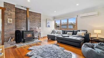 TV, fireplace, video games, DVD player