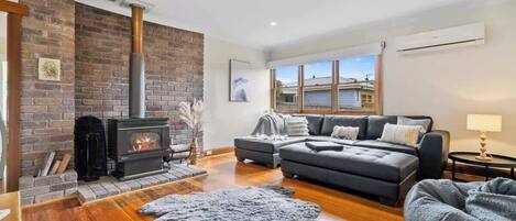 TV, fireplace, video games, DVD player