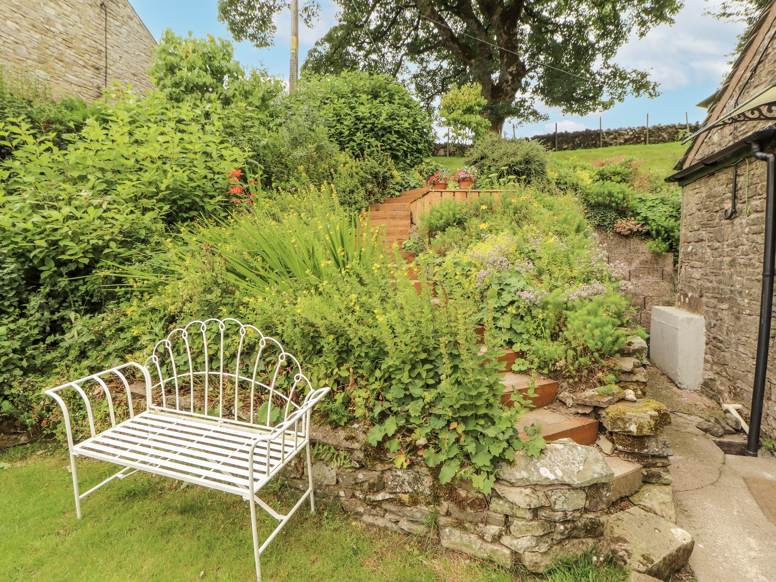 コテージ | 施設の敷地