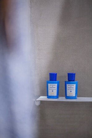 Shower, hair dryer, bathrobes, bidet