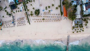 An aerial view of a beach with rows of palm trees, beach umbrellas, and a few buildings in the background. - Luxurious Chic Penthouse Navio Beach (Punta Cana)