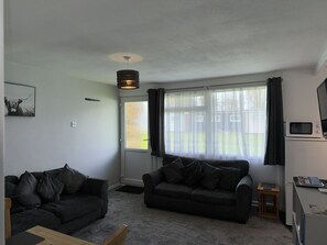 Smart TV, DVD player, books