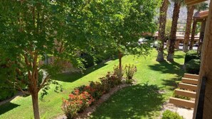 Een verzorgde tuin met diverse planten en bomen, een gazon en een stenen trap naar een hoger gelegen niveau.