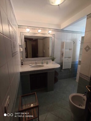 Shower, hair dryer, bidet, towels