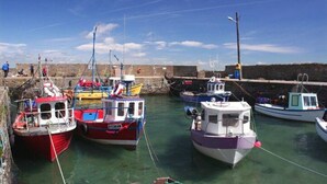 Un puerto con varias embarcaciones amarradas al muelle.