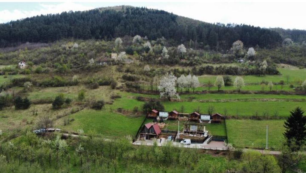 Un paysage rural avec un groupe de maisons entourées de champs verdoyants et d’arbres.