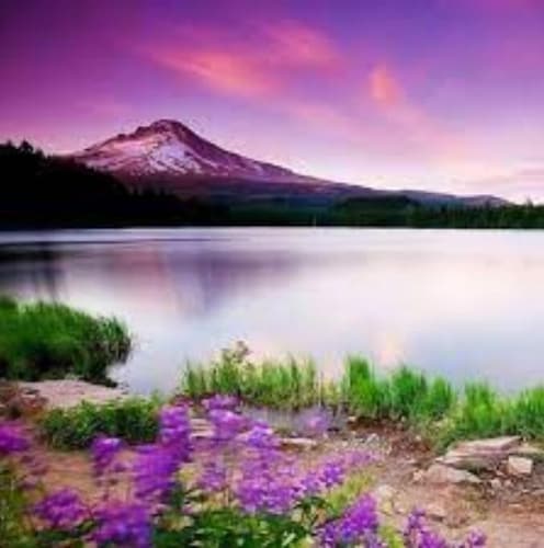 house, decks, nearby  park, 10 min to Downtown, newly remodeled