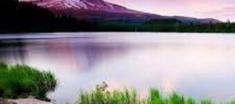 house, decks, nearby  park, 10 min to Downtown, newly remodeled