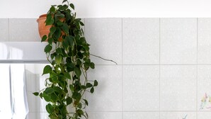 Une salle de bain avec un lavabo blanc, un miroir, une plante verte et une plante en pot verte, ainsi que des serviettes soigneusement pliées.