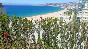 Un paisaje urbano costero con playa, edificios y cielos despejados.