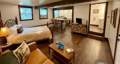 Pinecone - Apartment in Downtown Greenville