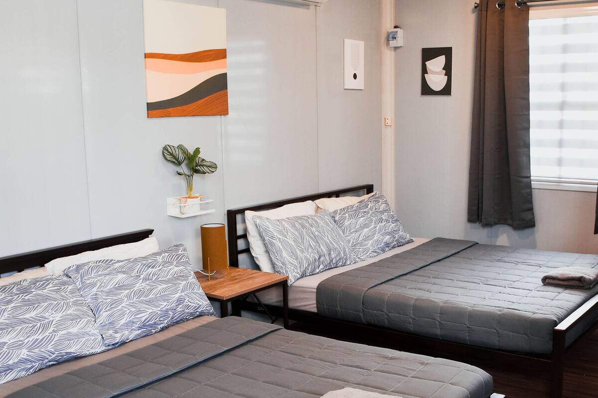 A modern hotel room with two single beds, a small table, a potted plant, and a window with curtains.