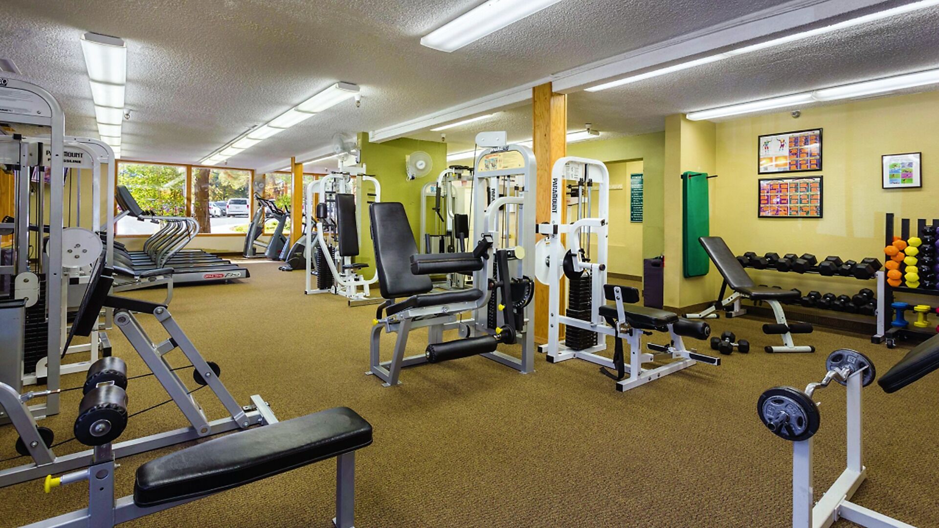 Une salle de sport équipée de divers appareils d’entraînement, d’haltères et de bancs.