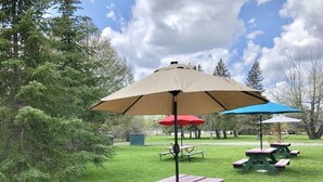 A picnic area with green picnic tables and two umbrellas, one beige and one blue, in a park with trees and grass. - Hilltop Lodge Standard Double - Room 110 (International Falls)